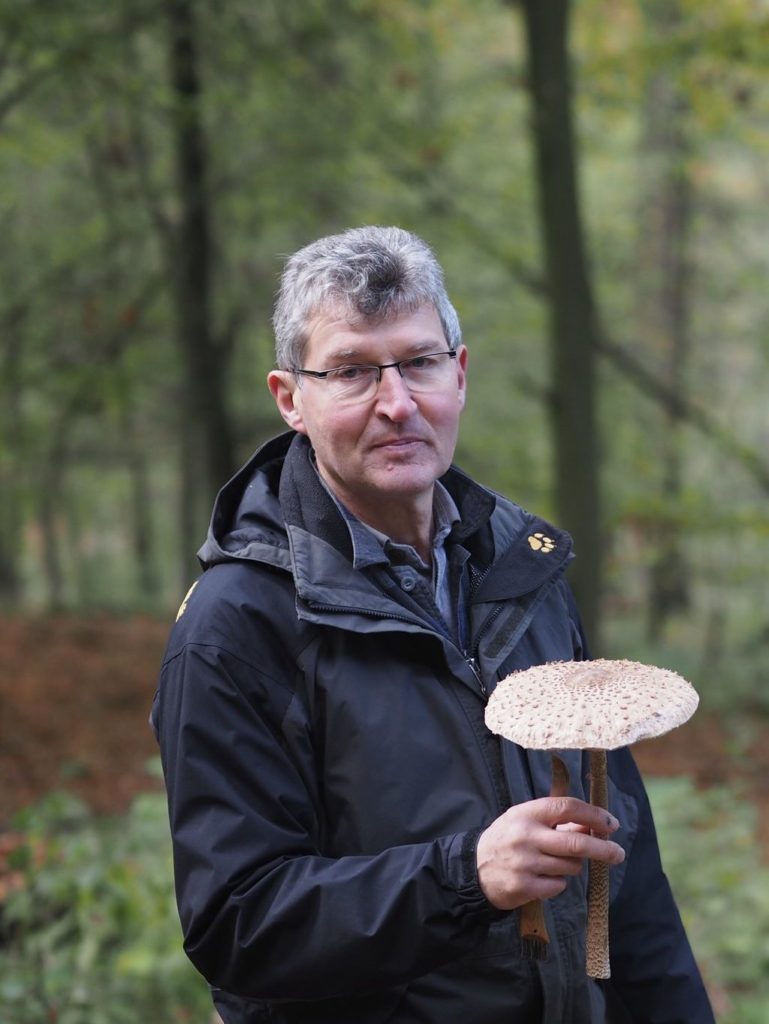 Pilzsammler mit Parasol