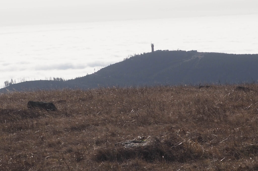 Brockenblick auf Wurmberg-Turm