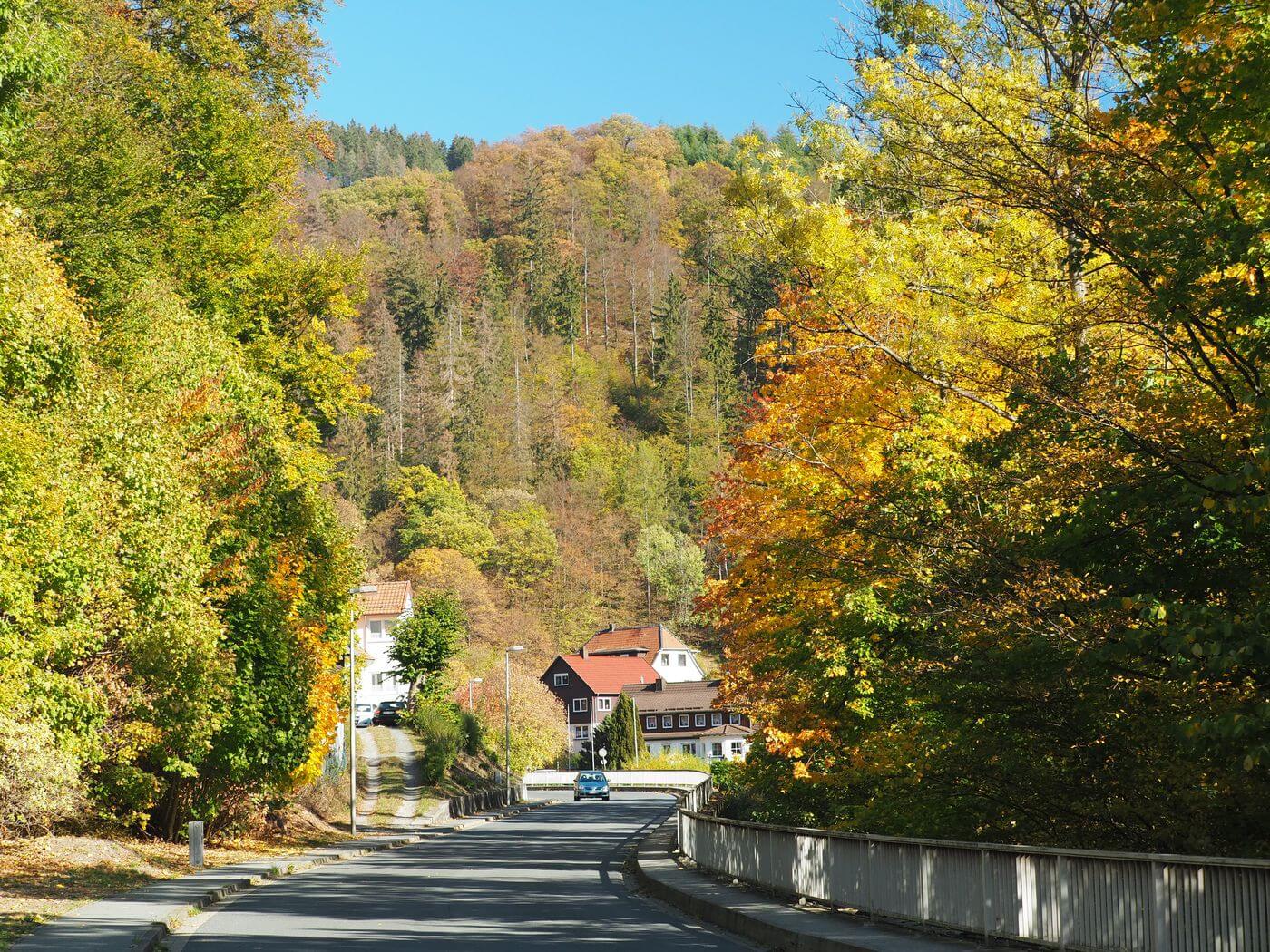 Begegnung in Zorge